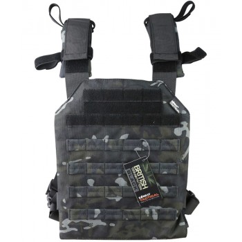 Spartan Plate Carrier (ATP Night)